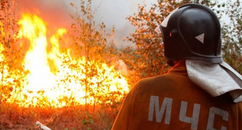 В Спасском районе Рязанской области на пожаре скончался 44-летний мужчина