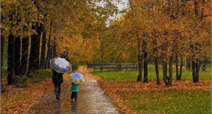 8 сентября в Рязанской области ожидается небольшой дождь до +13 градусов