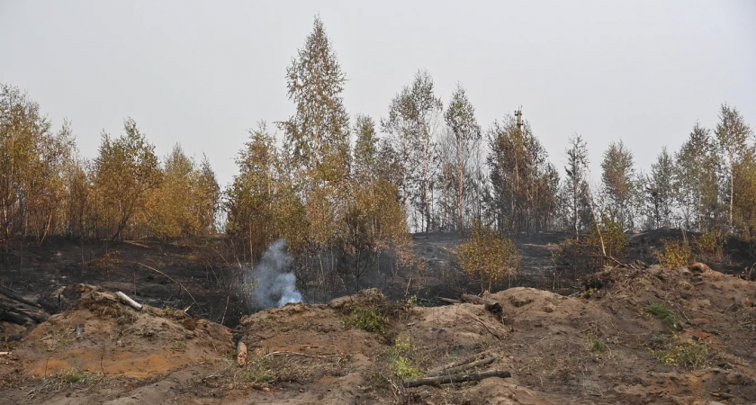 В Рязанской области с 9 сентября отменен режим ЧС из-за пожаров