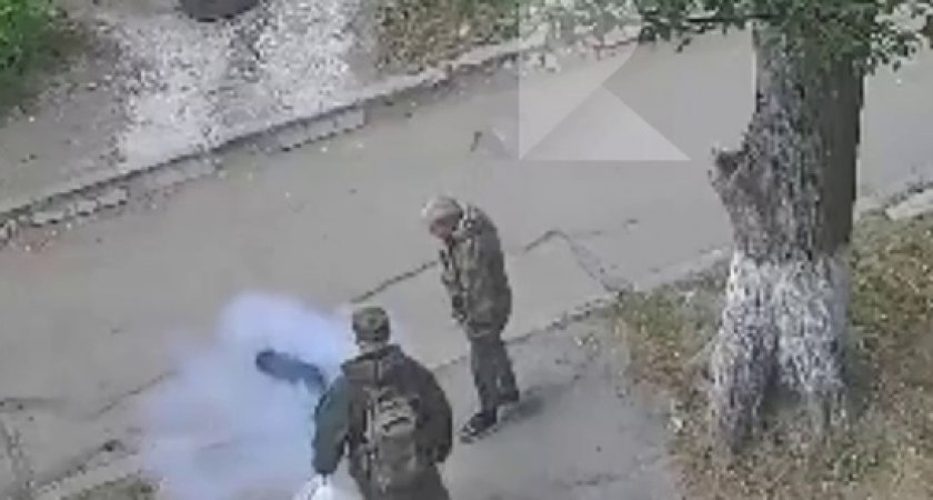 На улице Зубковой в Рязани прохожий выстрелил в пса на глазах хозяина