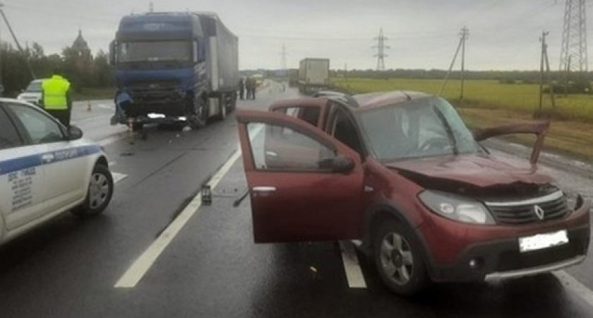 В Михайловском районе в ДТП с грузовиком скончался 80-летний водитель Renault