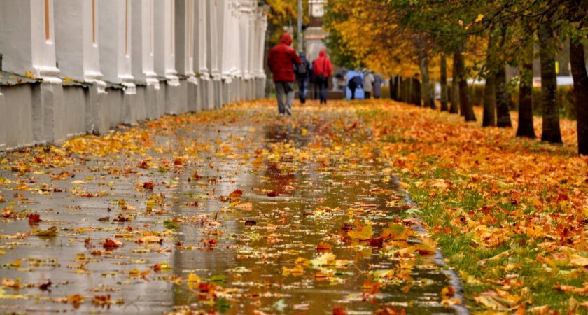 14 сентября в Рязанской области ожидаются дожди и до +18