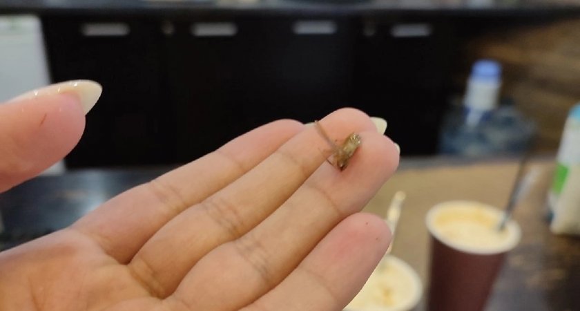 Посетительница кафе в центре Рязани нашла таракана в кофе