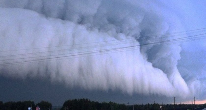 В Рязанской области шквалистый ветер достигнет 23 метров в секунду 19 сентября