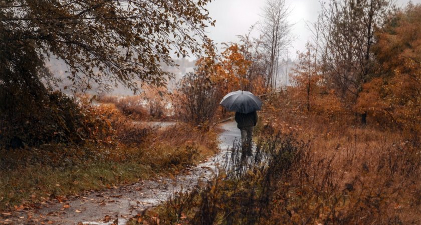 22 сентября в Рязанской области ожидается дождь и +19