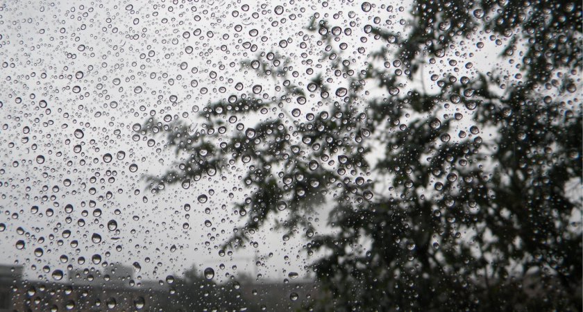 В Рязани 2 октября ожидается дождь и до +18 градусов