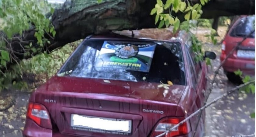 В Горроще на улице 10-я линия дерево повредило несколько машин