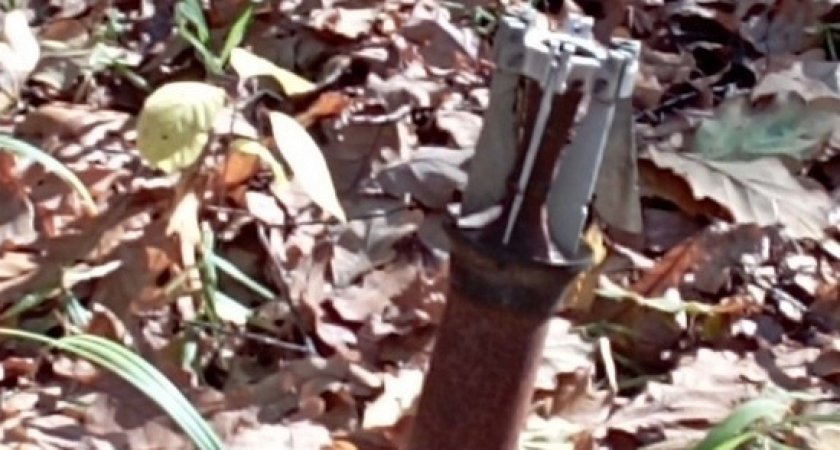 В Скопинском районе Рязанской области в лесу грибники обнаружили снаряд