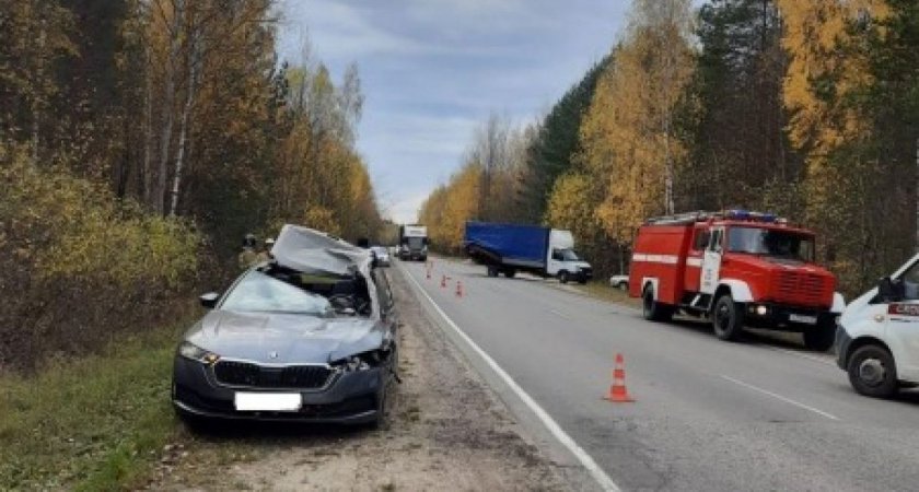 УМВД назвало причину смертельного ДТП в Касимовском районе