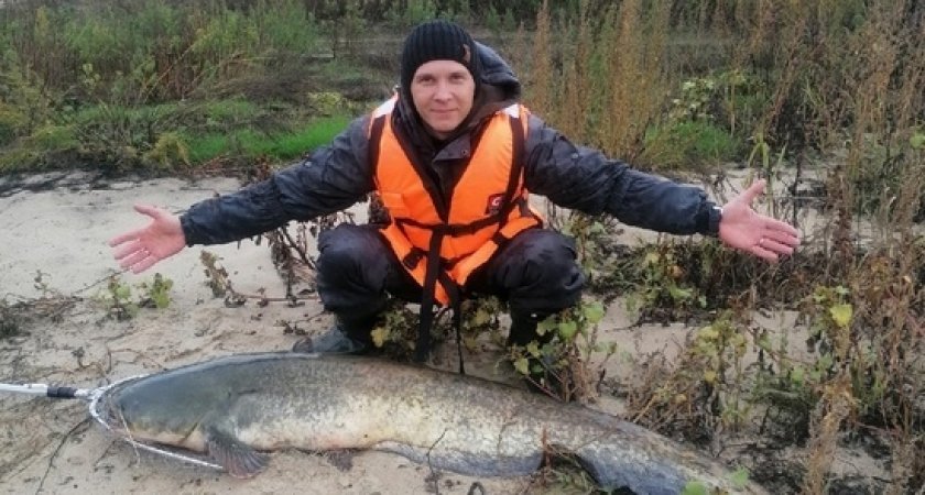 Рязанский рыбак на Оке поймал сома весом 32 килограмма