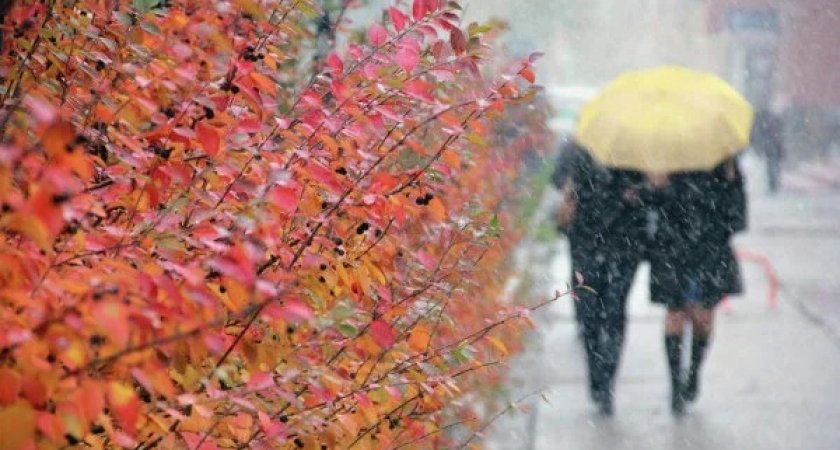 30 октября в Рязанской области ожидается мокрый снег и -5 градусов