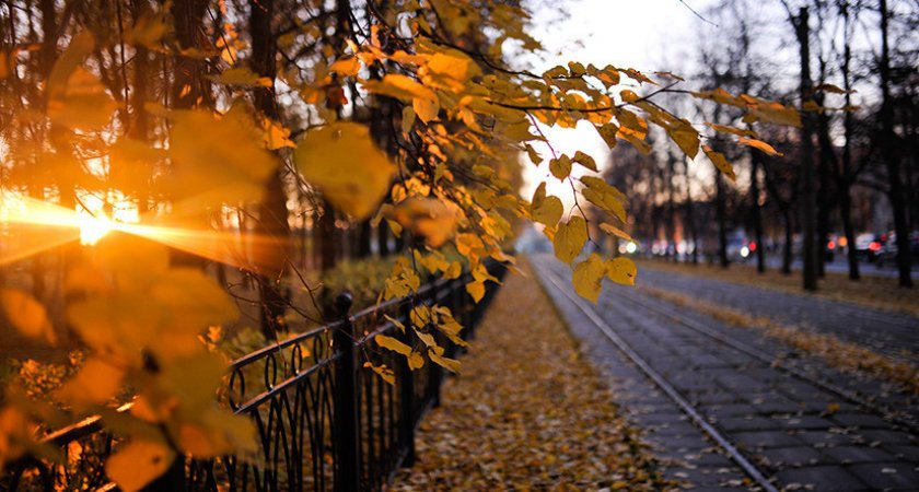 В Рязанской области 12 ноября потеплеет до +12 