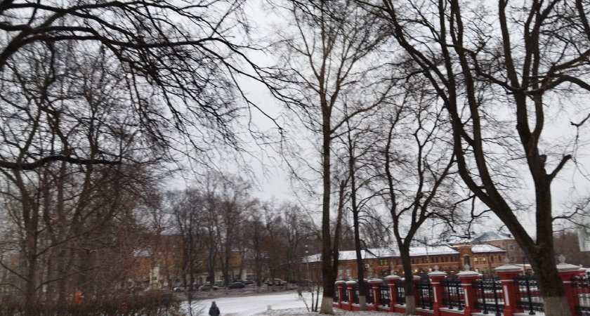 В Рязанской области ожидаются ночные заморозки до -5 градусов Цельсия 20 ноября