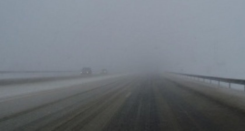 Рязанцев предупредили о густом тумане 30 ноября