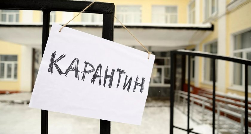В Рязанской области из-за ОРВИ и гриппа объявляли карантин в 30 школах