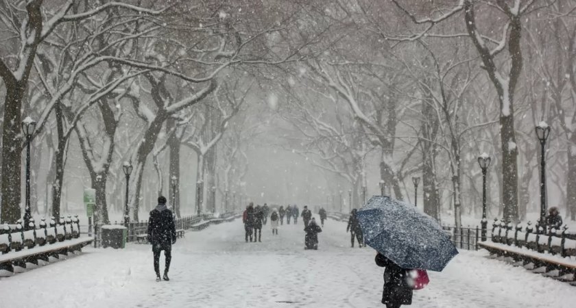 20 декабря в Рязанской области ожидается снег, гололедица и -11