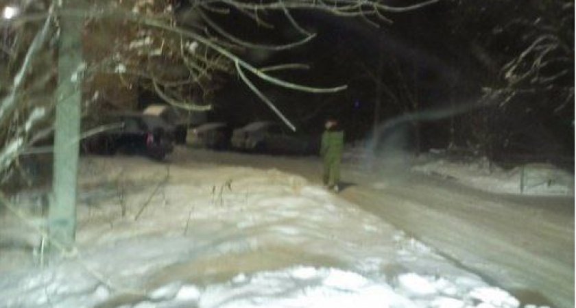 30 декабря ночью в Недостоеве рязанцы увидели мужчину с ножом