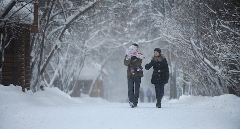Синоптики сообщили о рекордном тепле в Рязани в новогоднюю ночь