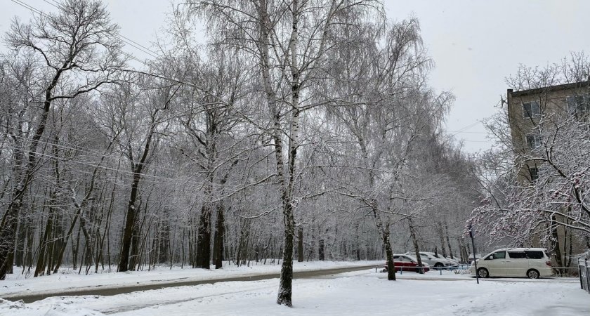 Синоптики прогнозируют до -12 в Рязанской области 12 января