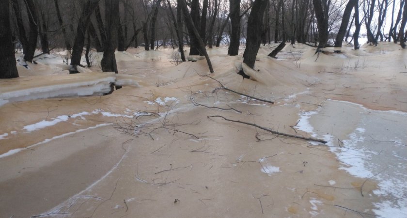 Житель Рязани опубликовал фото замёрзшей после разлива реки в Солотче