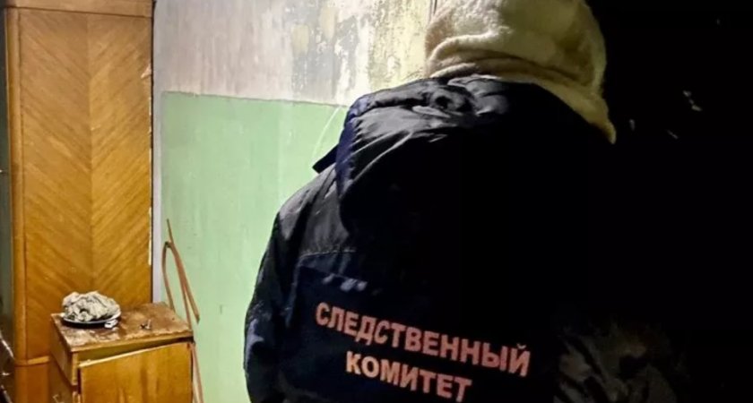 В Рязанской области завершено расследования убийства мужчины от рук сожительницы