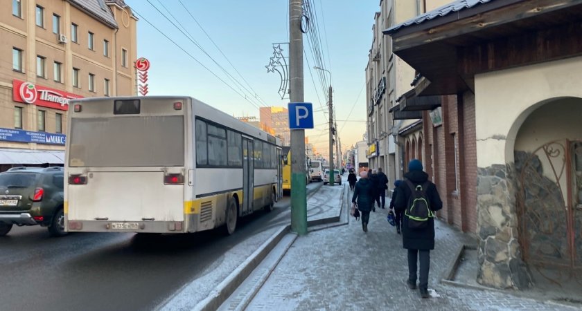 Водитель рязанского автобуса №17 высадил подростка из-за камер в автобусе