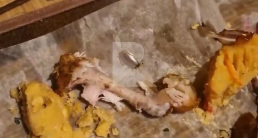 Посетитель рязанского ресторана обнаружил в тарелке с едой таракана