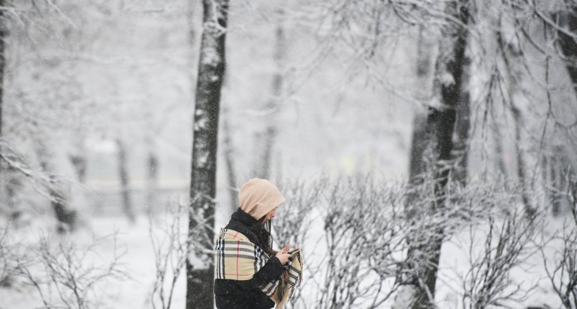 17 февраля в Рязанской области пойдет небольшой снег и похолодает до -14