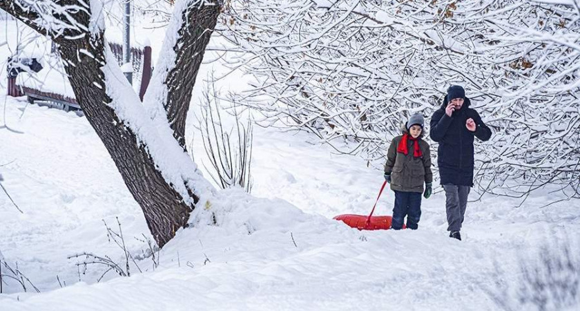 3 марта в Рязанской области ожидается снег и до +2 градусов