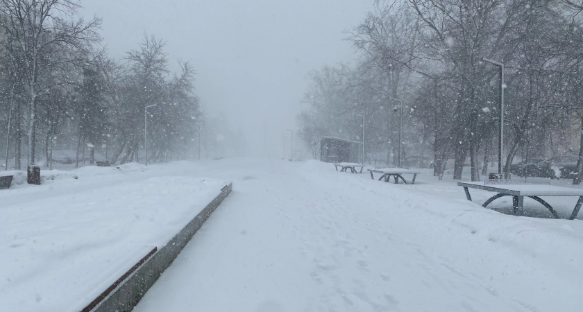 В Рязанской области из-за сильного снегопада объявили метеопредупреждение