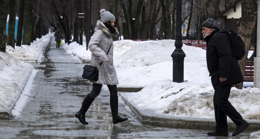 10 марта в Рязанской области ожидается снег и до +2 градусов