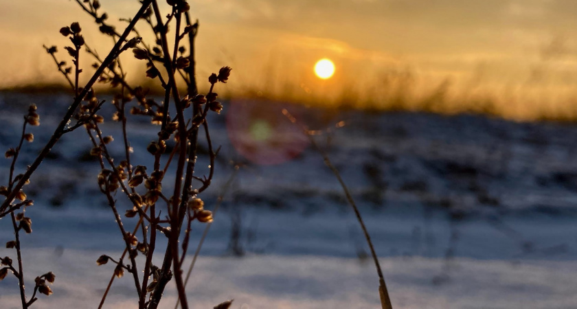 24 ноября в Рязанской области ожидаются снег, гололедица и -5 