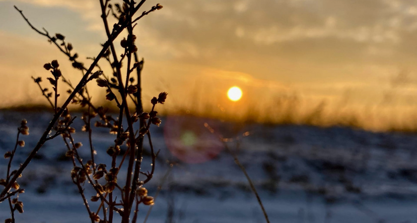 30 ноября в Рязанской области ожидается -17 градусов