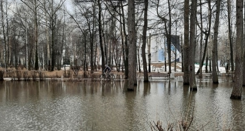 В Рязани парк Гагарина затопило