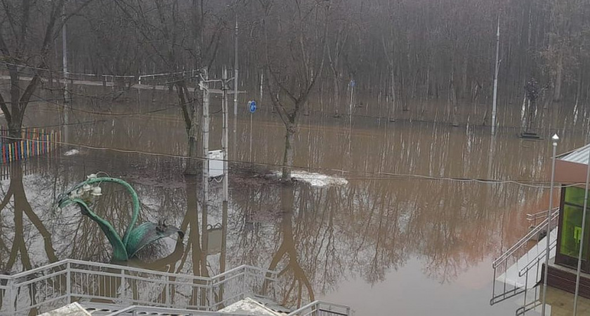 Центр «Под мостом» в рязанском Лесопарке оказался «окружен» водой