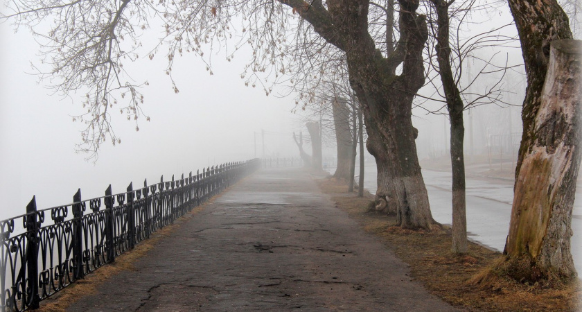 Жителей Рязанской области предупредили о сильном тумане и ветре до 17 м/с