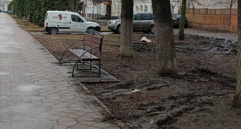 Жители Рязани пожаловались на состояние парка в Кремле