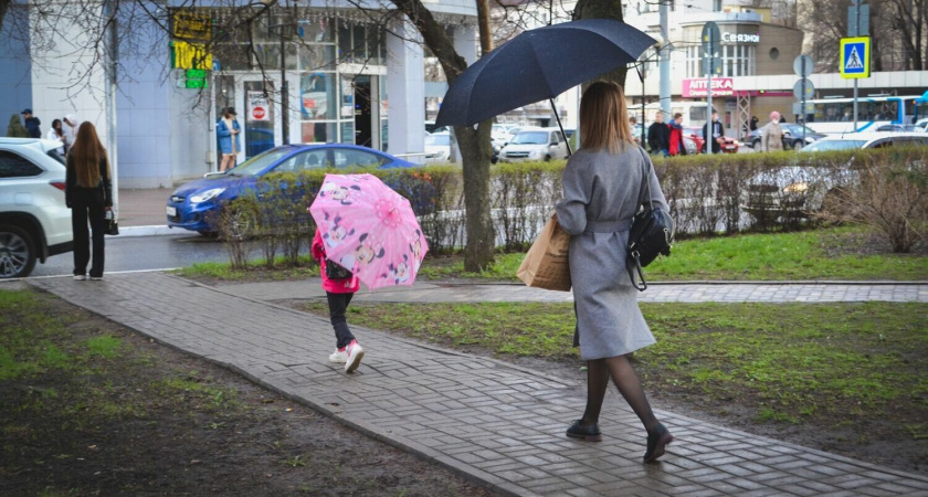 3 апреля в Рязанской области ожидаются дождь и +14