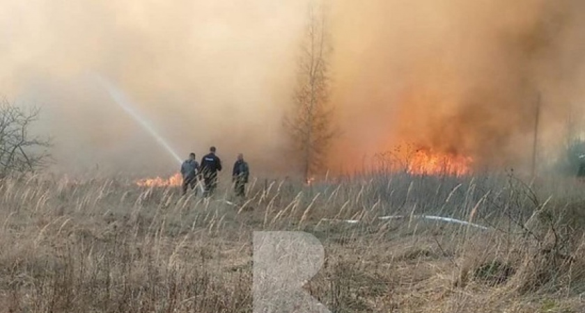 В Путятинском районе выгорела трава на площади 10 га