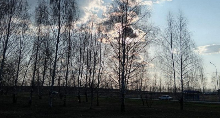 В Рязанской области в поле обнаружили труп 44-летнего мужчины