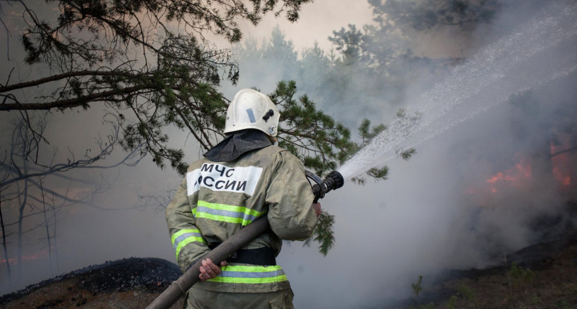 В Шиловском районе Рязанской области потушили первый в 2023 году лесной пожар