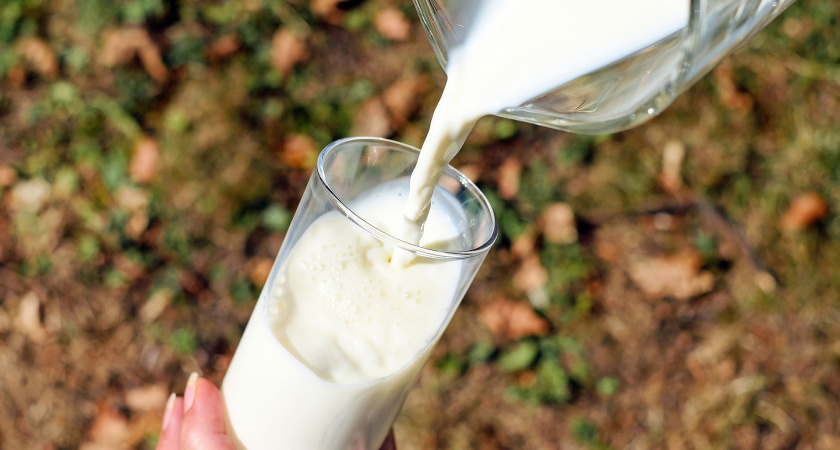 «Не берите даже на выпечку»: Роскачество назвало марки молока, которых лучше избегать