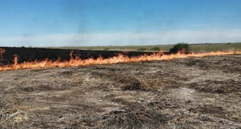 МЧС предупредило рязанцев о высокой пожарной опасности 25 апреля 