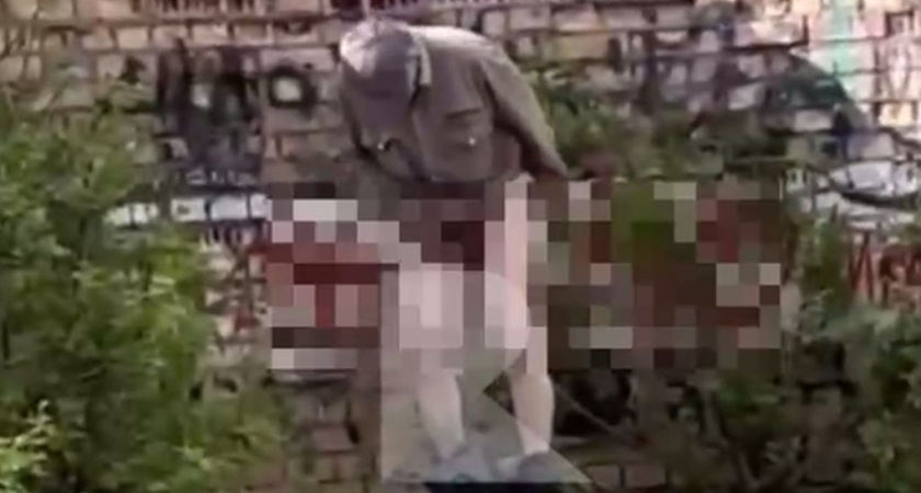 В Канищево Рязани рядом со школой засняли мужчину со спущенными штанами