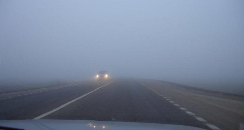 25 апреля в Рязанской области объявили метеопредпреждение о тумане