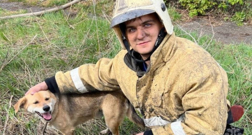 В Рязани пожарные спасли привязанную к горящему дому собаку