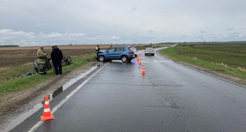 Полиция опубликовала фотографии смертельного ДТП в Пронском районе