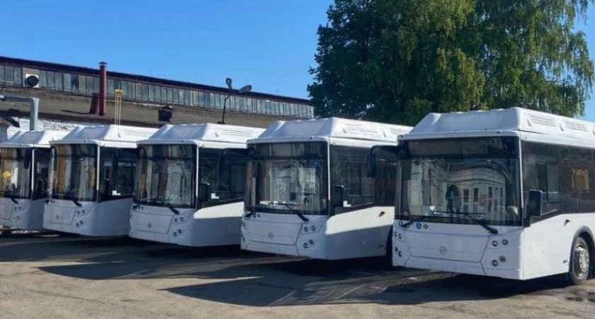 В Рязань начали поступать новые автобусы ЛиАЗ, которые пополнят автопарк «УРТ»