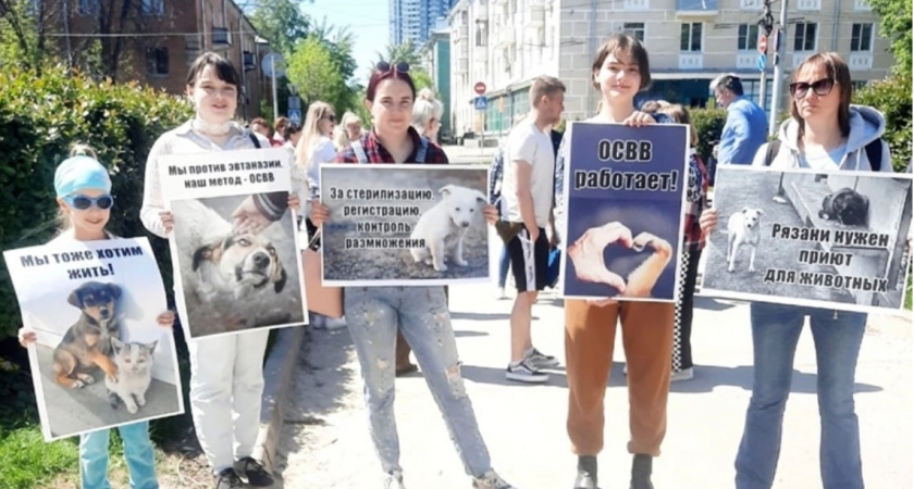 В Рязани примерно 100 жителей собрались на пикет в защиту животных