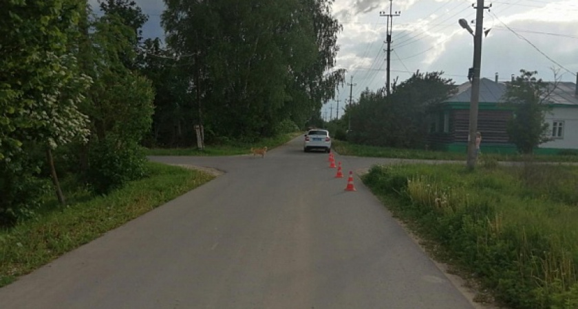 В Касимовском районе подросток на мопеде наехал на 14-летнего велосипедиста